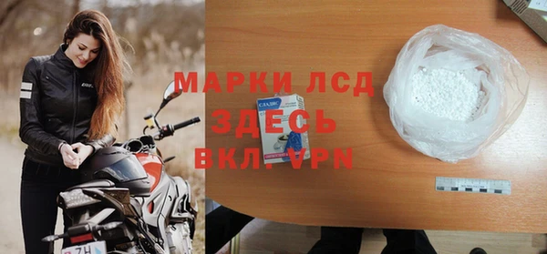 индика Волоколамск
