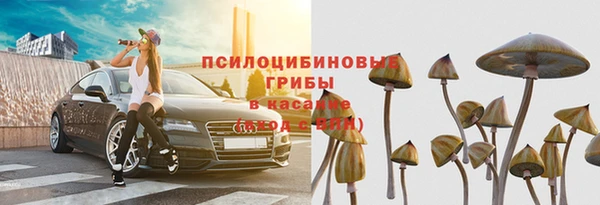 индика Волоколамск