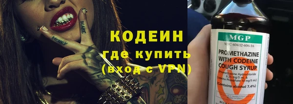 индика Волоколамск