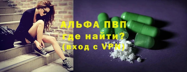 индика Волоколамск