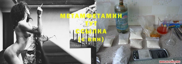 индика Волоколамск