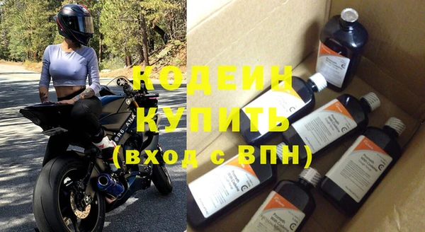 индика Волоколамск