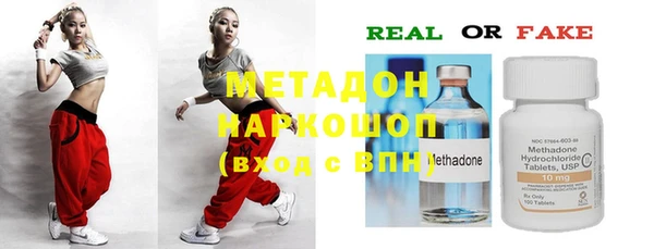 индика Волоколамск