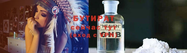 индика Волоколамск