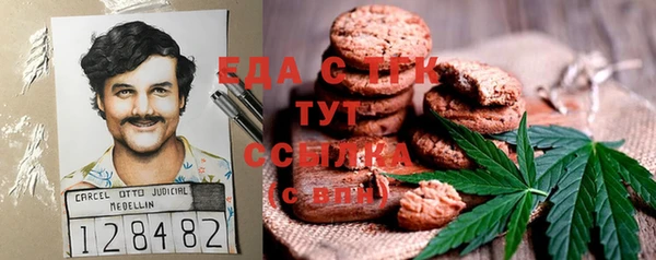 индика Волоколамск