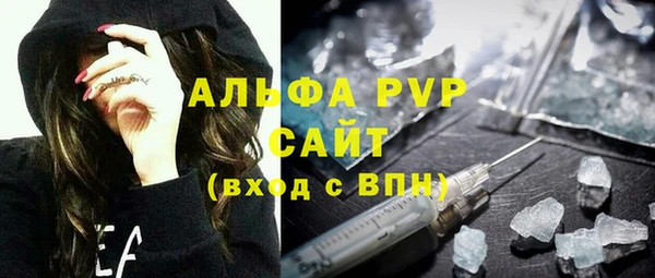 индика Волоколамск