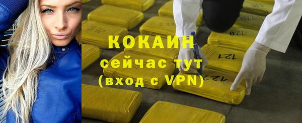 индика Волоколамск