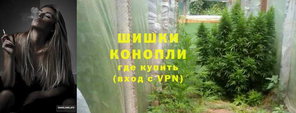 индика Волоколамск