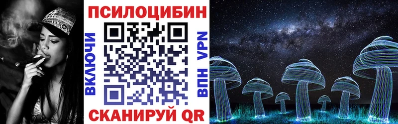 Купить закладки  Олёкминск  Псилоцибиновые грибы ЛСД 